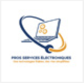 Pro Service Electronique